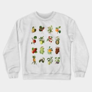 Vintage Fruit Multi Design Set Crewneck Sweatshirt